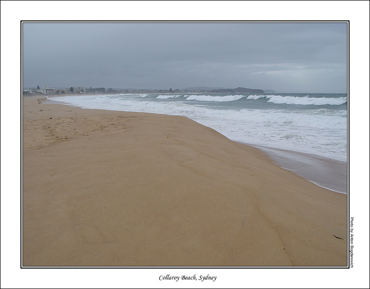 collaroy