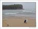 mona_vale2