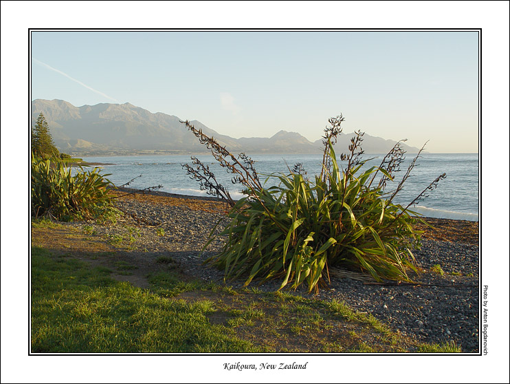 kaikoura3