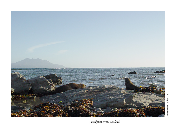 kaikoura4