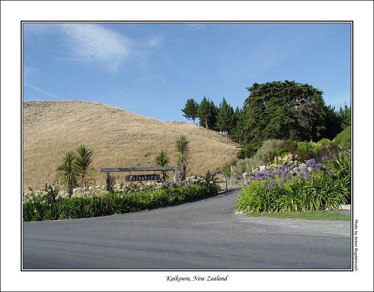 kaikoura6