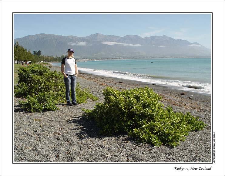 kaikoura7