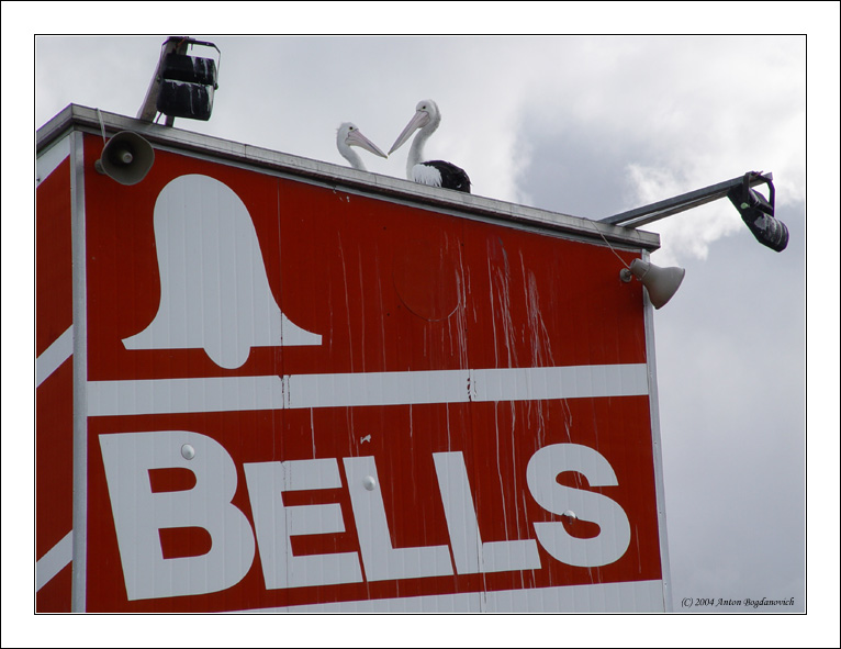 bells